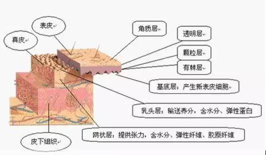 专柜化妆品要不要买成套？去化妆专柜前先看看这些吧！