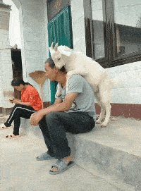 幽默gif：我姐離婚，幾天沒吃飯，家裡人讓我去安慰她，沒想到我姐說 搞笑整蠱 第2张