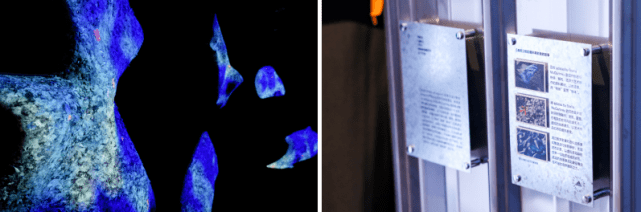 系列 循环可“型”，以艺术探索自然