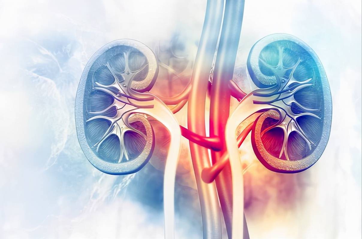 肾阳就是这样透支的!这几个习惯赶紧戒掉,老了后悔都来不及