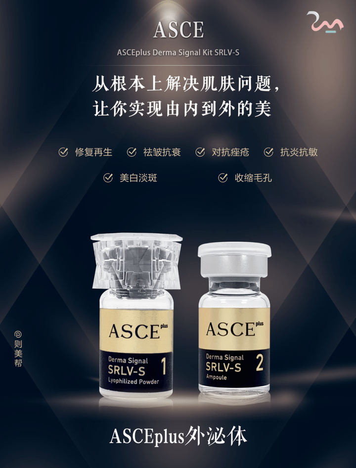 yiASCE plus外泌体 介绍分享