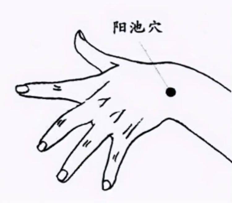 蒲谷|血糖高的人，想要稳定血糖值，记住六个字！