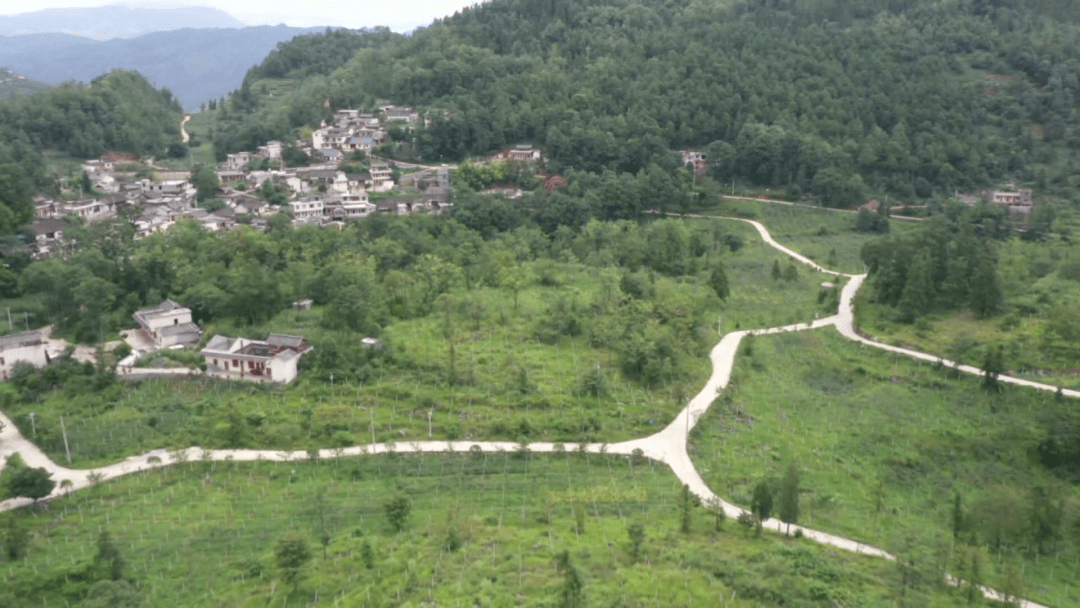 普安县有多少人口_一条抖音1000块 这个挑战贵州人都玩嗨了 快来和贵州这个