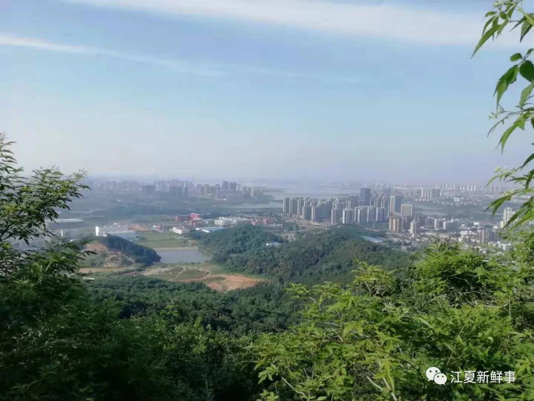 網友大篇幅建言江夏利用好八分山景點被譽為網紅打卡地