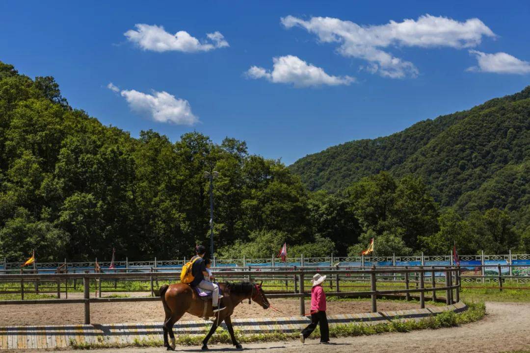 星河萬里高山草甸,古鎮老街,音樂噴泉賞美景大水川旅遊度假區等你來