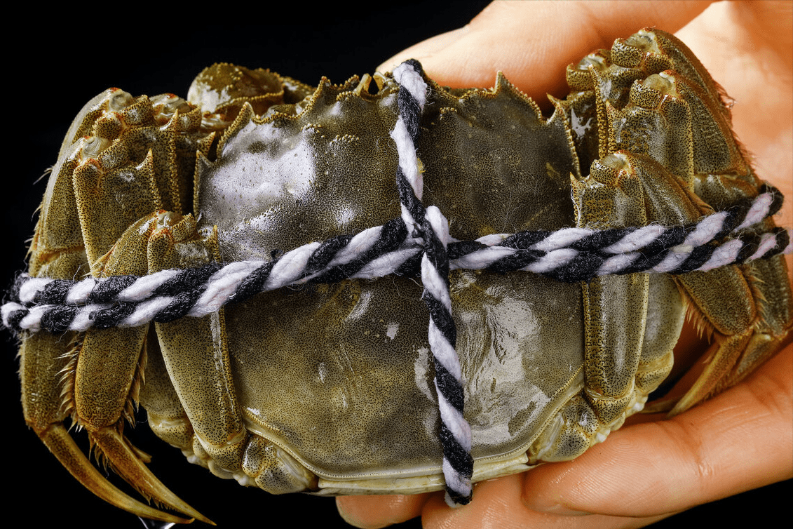 买螃蟹青壳好还是黄壳好原来差别还挺大老渔民教你3招