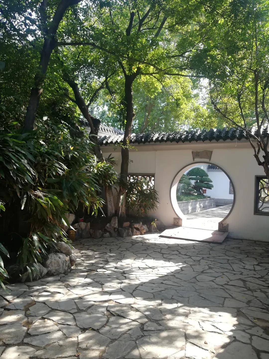 潍坊市人民公园归真园，今日，重新开放！