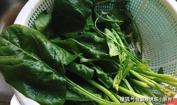 什么时间种菠菜香菜 b53afc95d97f4ce784d1619184ee5bc5.jpeg