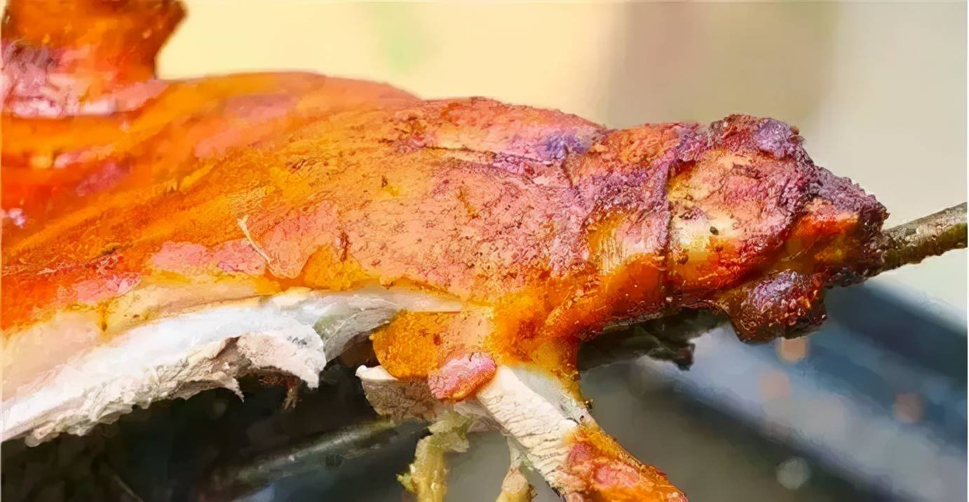 国庆嗨翻天丨齐聚鸵鸟庄园体验不一样的农庄