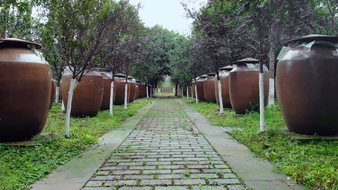 如何打造好白酒酒庄?古川:先做"酒",再做"庄"