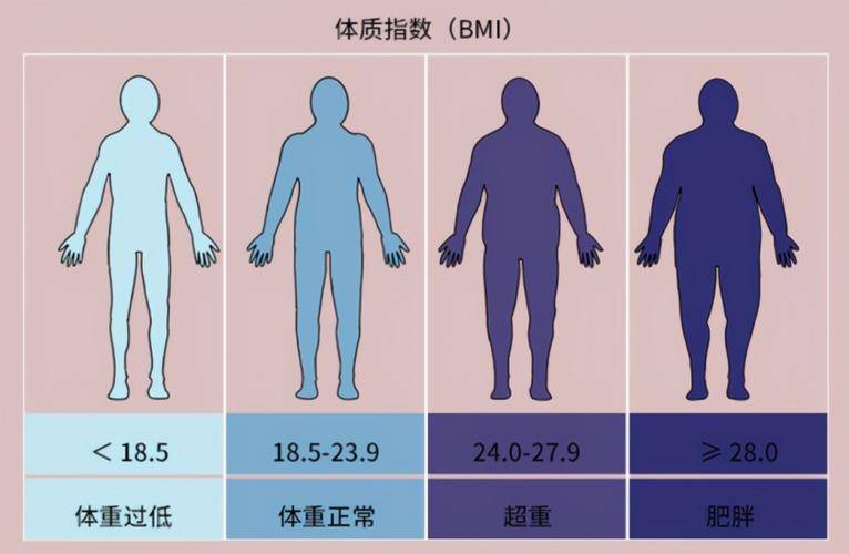 如何测算自己的bmi 74e34c25dc96461fb9449ecde6005e6a.jpeg