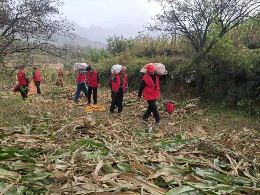 今天参加劳动的志愿者有:温德军,封云怀,李银堂,肖云兵,武仓法,田长荣