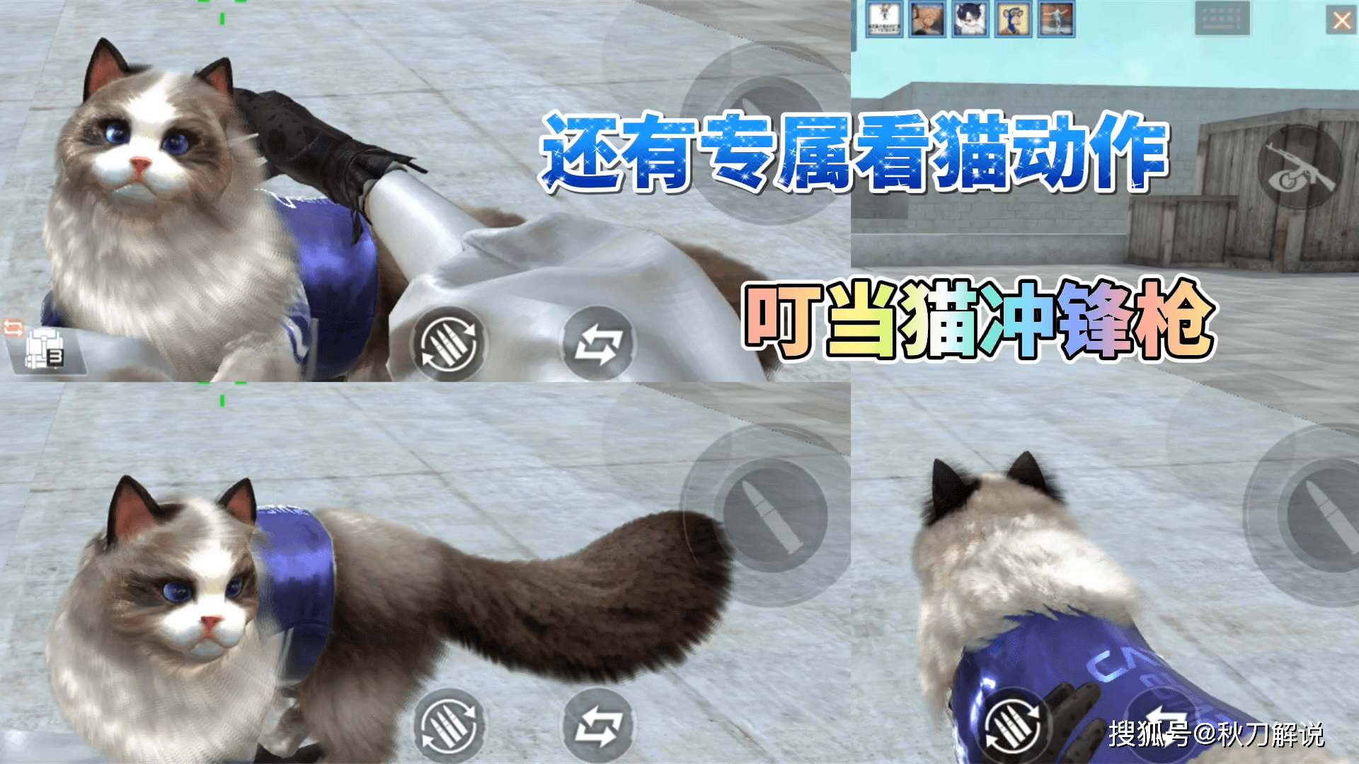 cf手游:叮当猫冲锋枪试玩,专属看猫动作太可爱了!