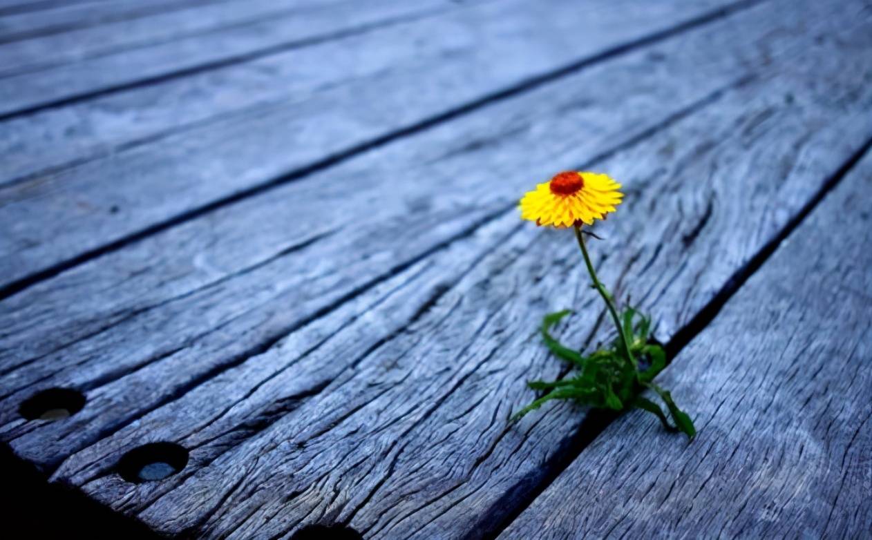 虚伪的人，一般有以下四个特征，需要敬而远之_搜狐网