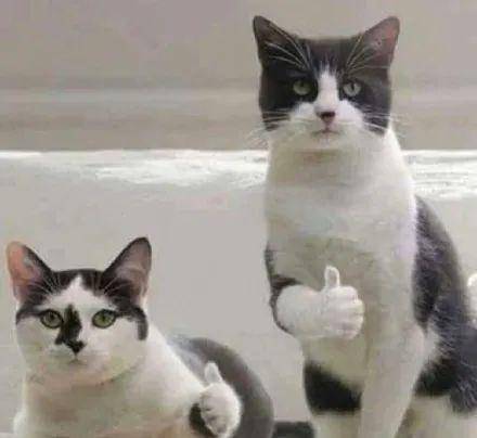 因为|《中国医生》里张子枫展现“神仙落泪”，有望成为00后“影后”？