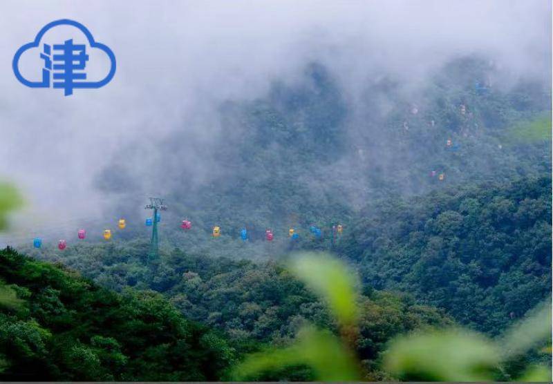 烟雨|色彩斑斓的山水稻蟹，渲染出烟雨津城的生态之美