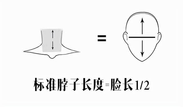 脖子 立秋后火了一种穿法,叫“马甲+连衣裙”,优雅时髦不说还显气质