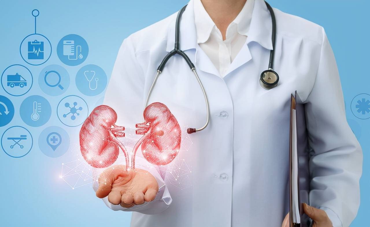 红细胞|尿隐血有了“加号”,要怎么办?要看血尿来自肾内还是肾外