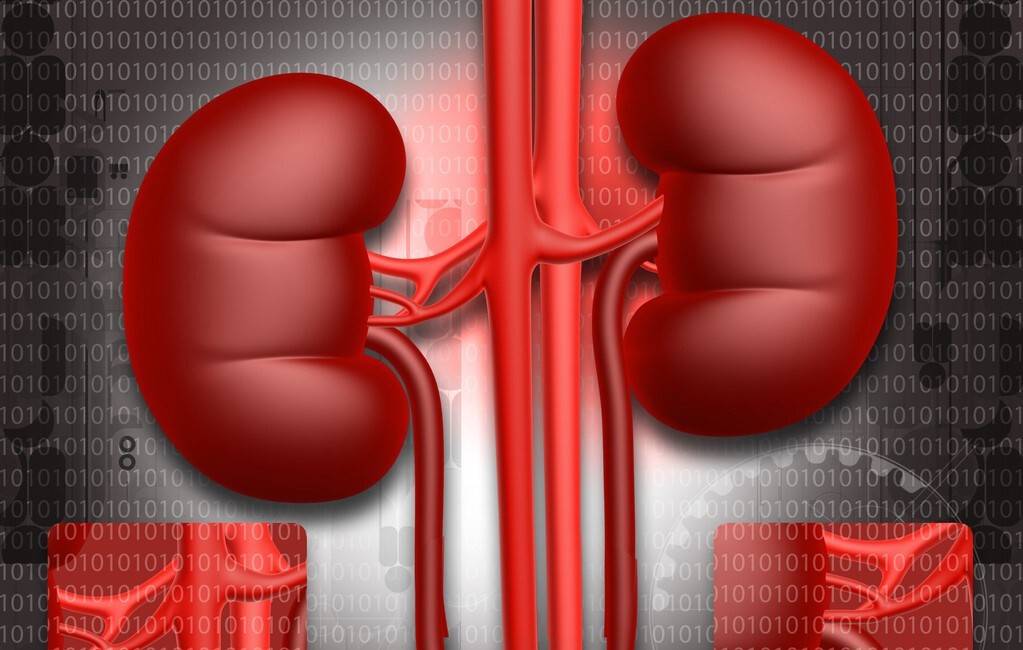 红细胞|尿隐血有了“加号”,要怎么办?要看血尿来自肾内还是肾外