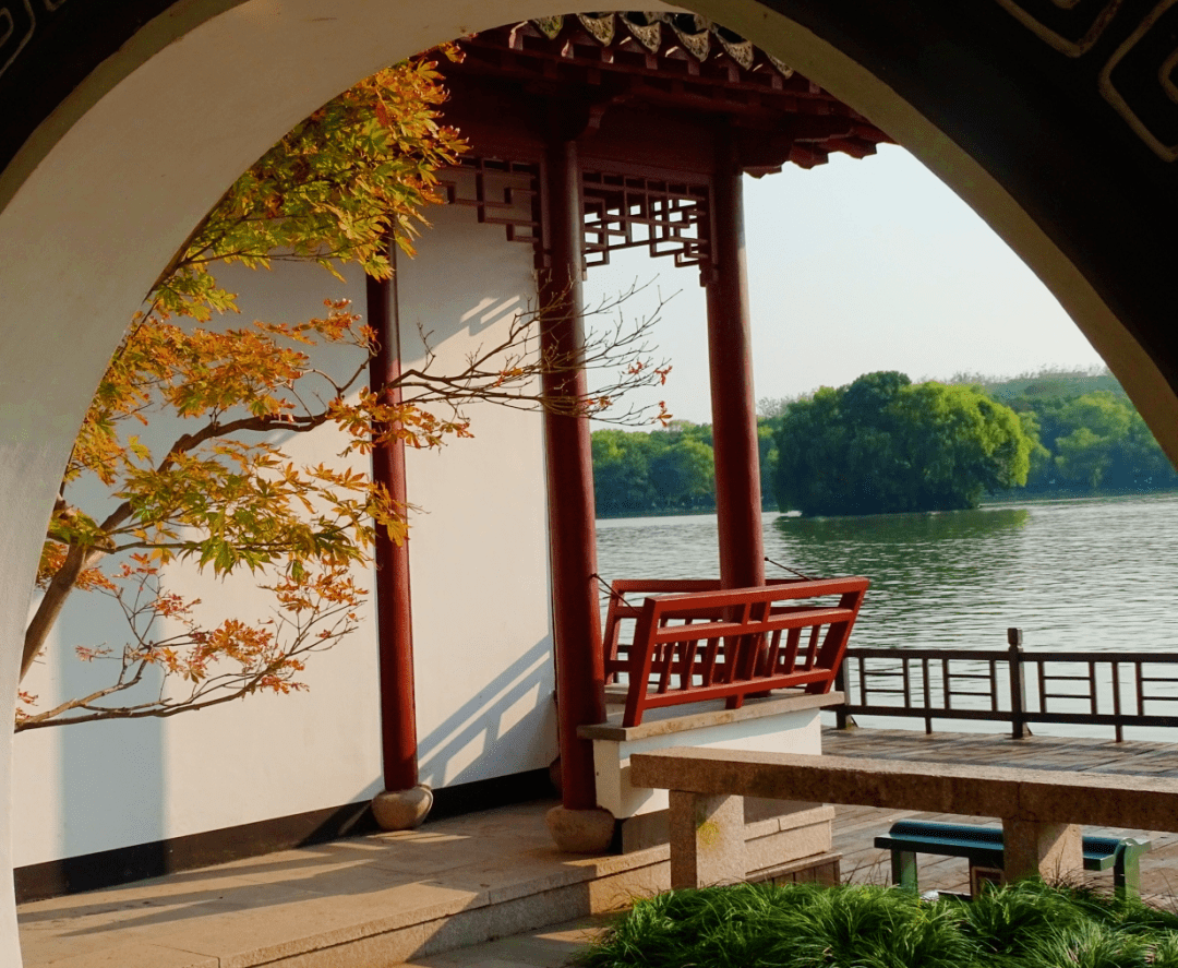 国庆绝了！浙江人如何称霸国庆朋友圈？都是套路→