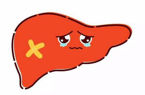 生活|广州和谐梁萍告诫大家:这5种行为易导致肝脏受损,一定要戒除