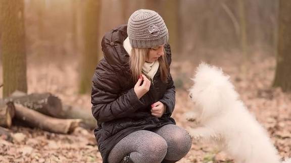 时间|“棉花糖”比熊犬这么可爱，为什么一些人选择不养？