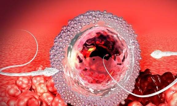 进行|女人“二胎”的年龄可以这么晚？医生：超了这个“数”，就别生了