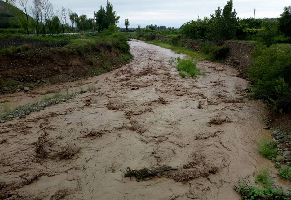 原创受洪涝灾害影响山西清徐县和祁县农作物受灾严重该如何抢救