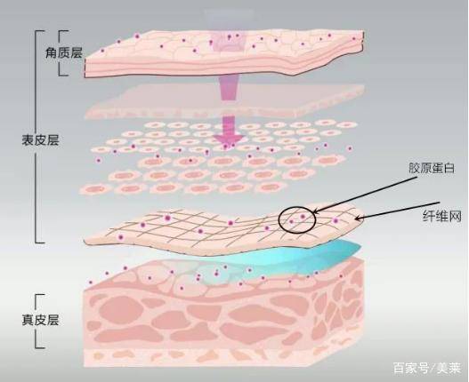 后天郑州美莱-原生骨相不给力，如何后天逆袭皮相美人？