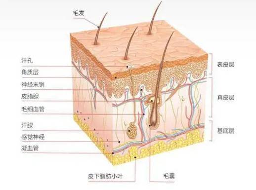 都能西安美莱｜做一次激光祛斑能同时改善哪些问题？