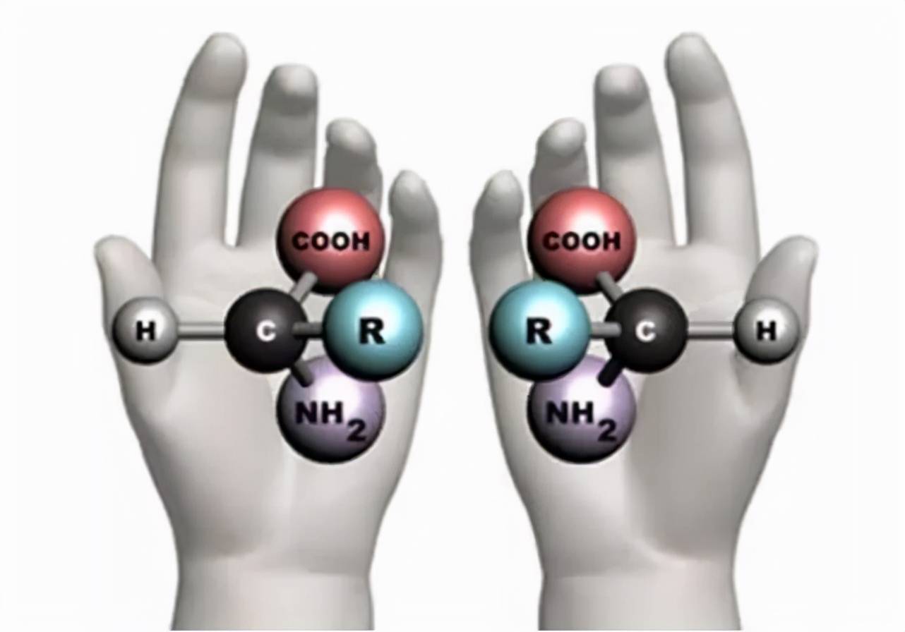 手性分子是组成生命基本活动的主要物质,诸多的氨基酸,多糖,以及dna都