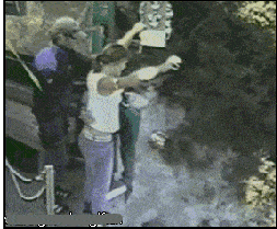 搞笑GIF趣圖:我也不知道這里說什麼地方，感覺她們好熱情！ 搞笑整蠱 第2张