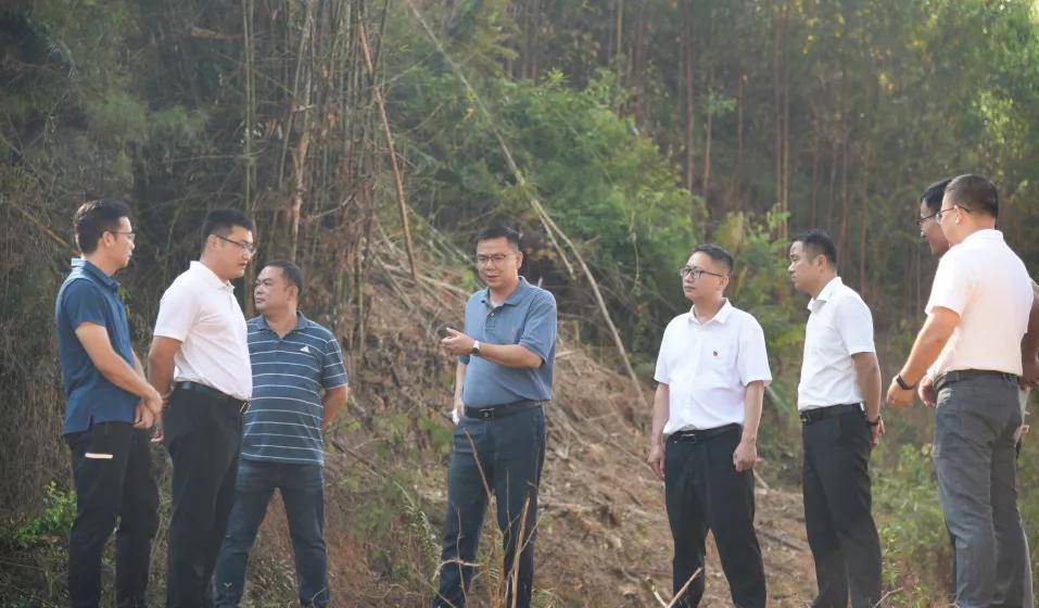 聚焦苍梧六堡茶苍梧县委书记覃学海率队到岭脚镇调研六堡茶种植工作