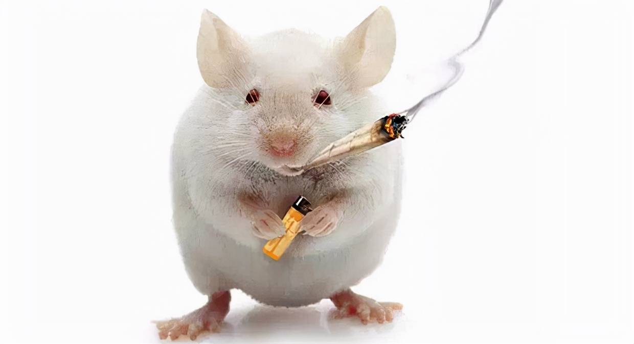 治愈|年过50,糖尿病还能治愈吗?4个方法坚持一年,医生建议停药