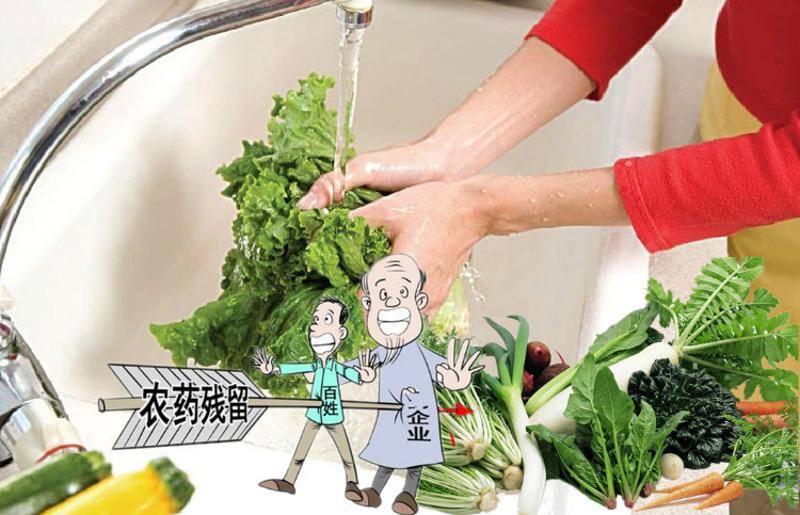 什么是重金属的食物呢 1d4862711c574252aadb17ca8074a665.jpeg