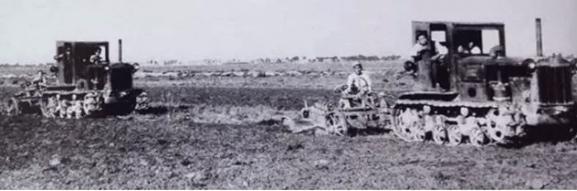 葡萄|你知道宁夏的第一瓶干红葡萄酒是怎么诞生的吗?