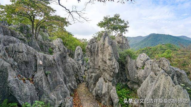 瑟瑟石 e70b1353cba54069b337910b7679e2e9.jpeg