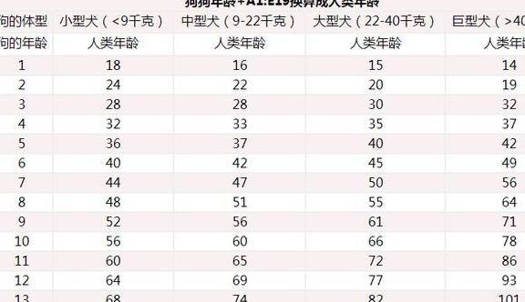 狗狗年龄对照表 你家狗狗现在几岁了 寿命 全网搜