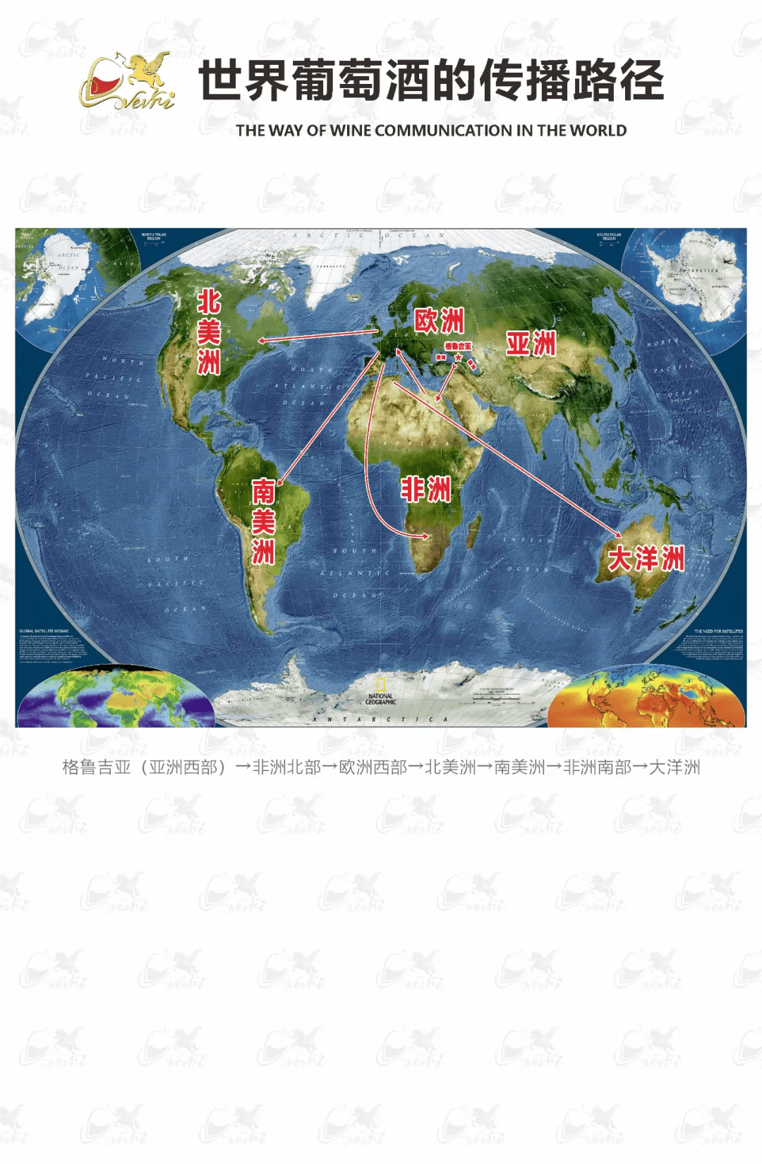 酿酒|中格文化：中国首家格鲁吉亚红酒博物馆