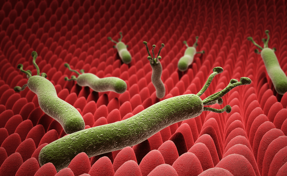 饮食|56岁男子一直坚持科学生活方式，萎缩性胃炎为何还发展成胃癌？