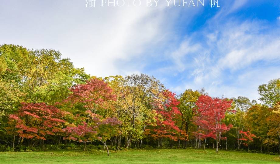 中朝边境深山中的秘密，2000多年古橡树见证了鸭绿江畔的沧海桑田