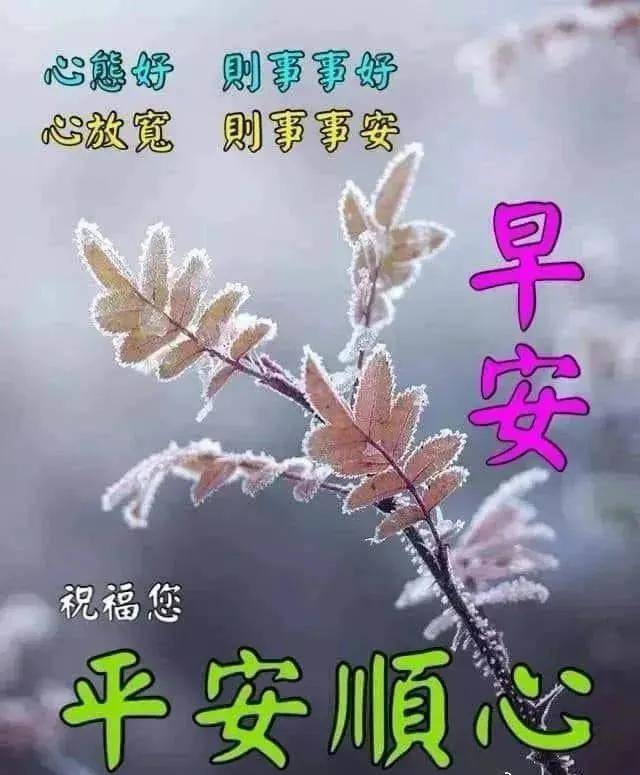 问候你朋友简谱_问候朋友早上好的图片(2)