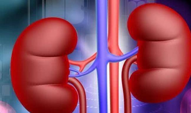 症状|医生忠告：尿酸高的人除腰疼外有这“3种表现”，是肾在求救！