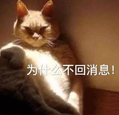 b5403af2a10142628aace89a488626c5.jpeg