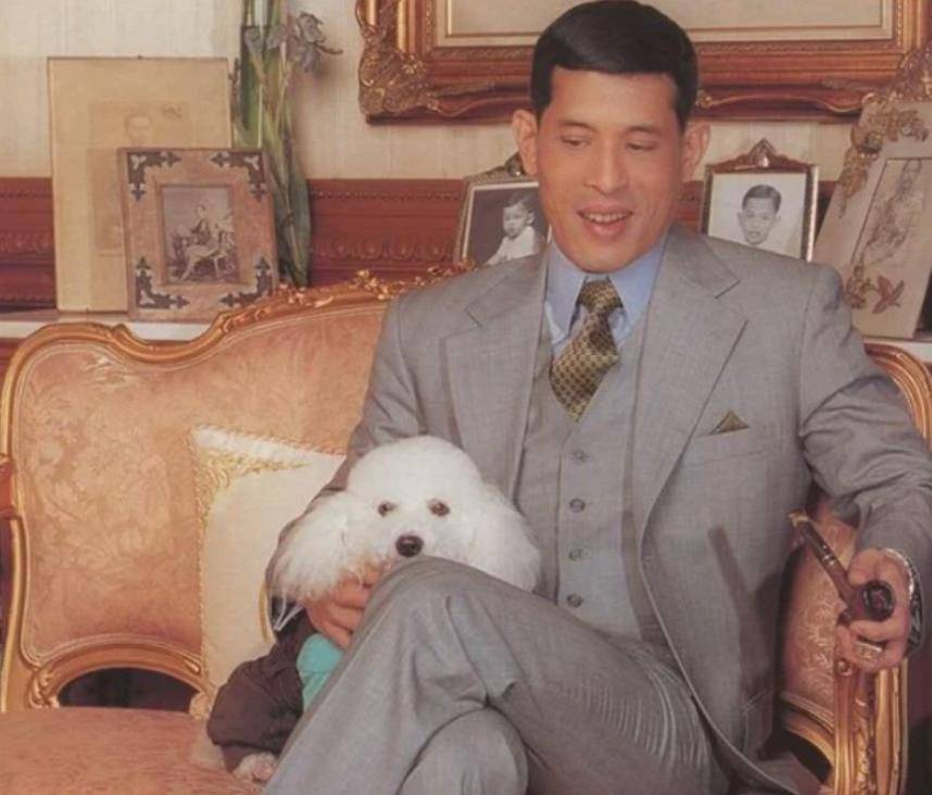 海报|泰国“全家福”海报亮相,三位子嗣悉数登场,西拉米尽显正宫风范