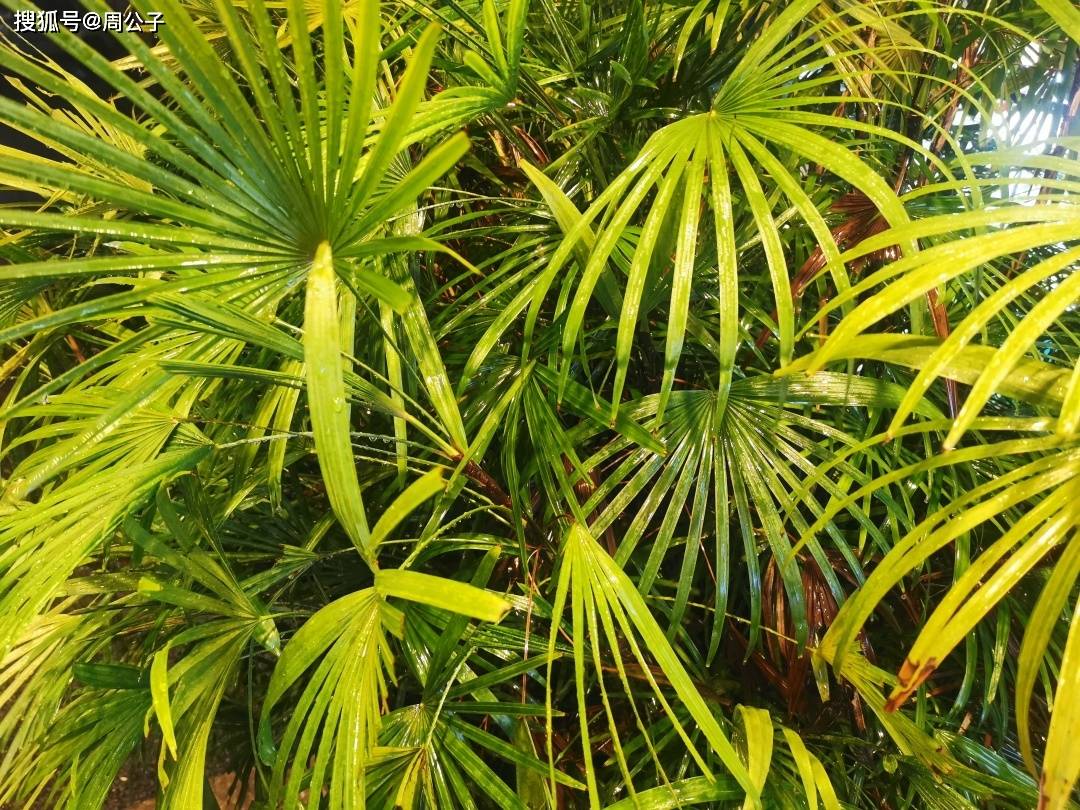 大厦|周公子说 | 你是不是也接受不了一成不变的自己