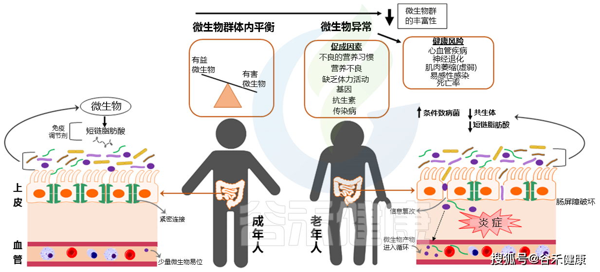 432c4034598346c2bbc57d94a1f2e1a5.png