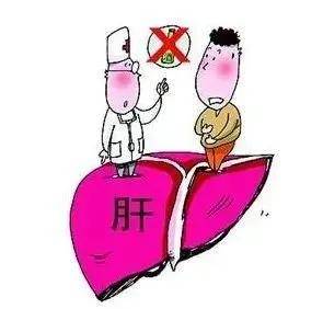 左耳朵|为什么有些人的乙肝能够十年不复发?