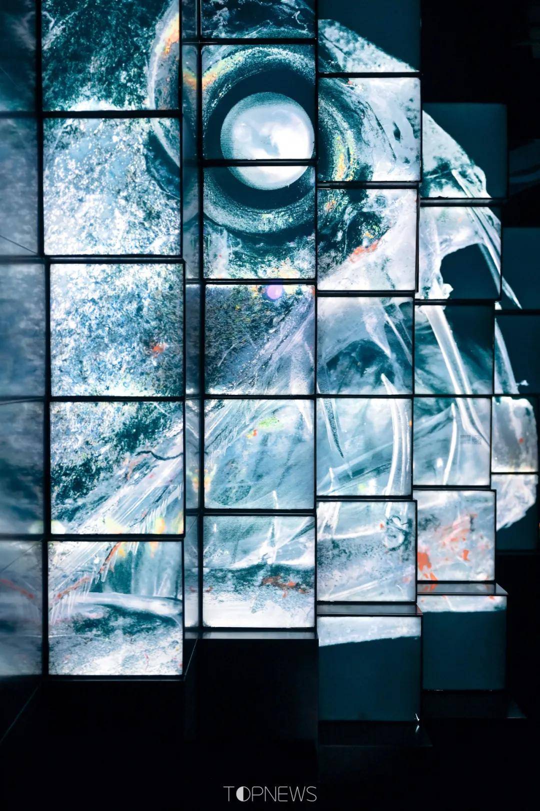 深藏BLUE！同济大学深海探索馆真的火了！