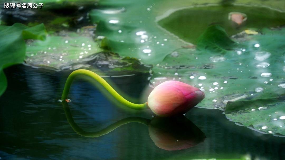 员工|周公子说 | 很多时候，人是被自己作死的